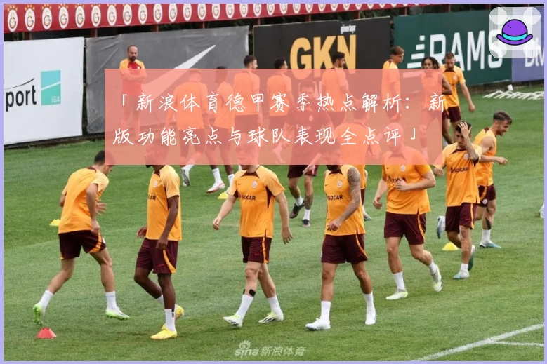 「新浪体育德甲赛季热点解析：新版功能亮点与球队表现全点评」