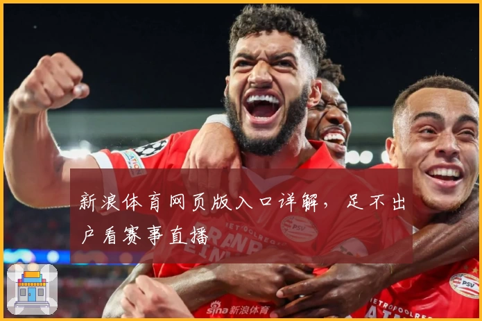 新浪体育网页版入口详解，足不出户看赛事直播