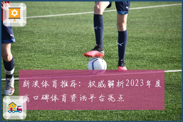 新浪体育推荐:权威解析2023年度高口碑体育资讯平台亮点