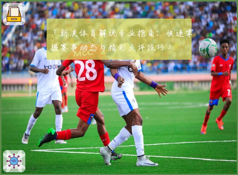 「新浪体育解说专业指南：快速掌握赛事动态与精彩点评技巧」