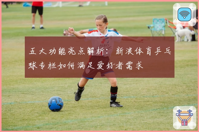 五大功能亮点解析:新浪体育乒乓球专栏如何满足爱好者需求