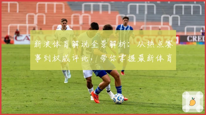 新浪体育解说全景解析：从热点赛事到权威评论，带你掌握最新体育动态