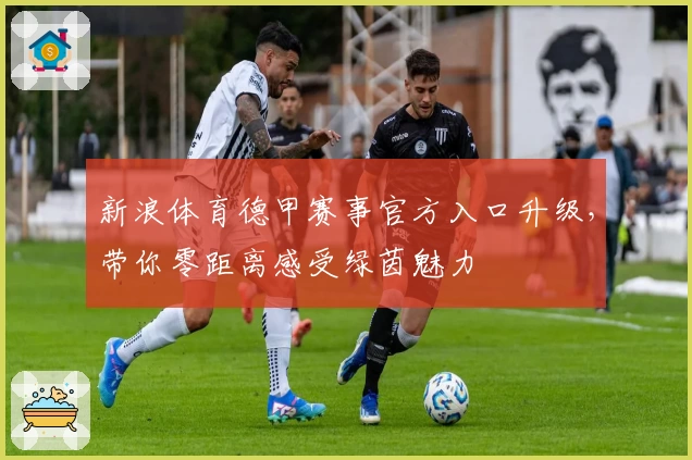 新浪体育德甲赛事官方入口升级，带你零距离感受绿茵魅力