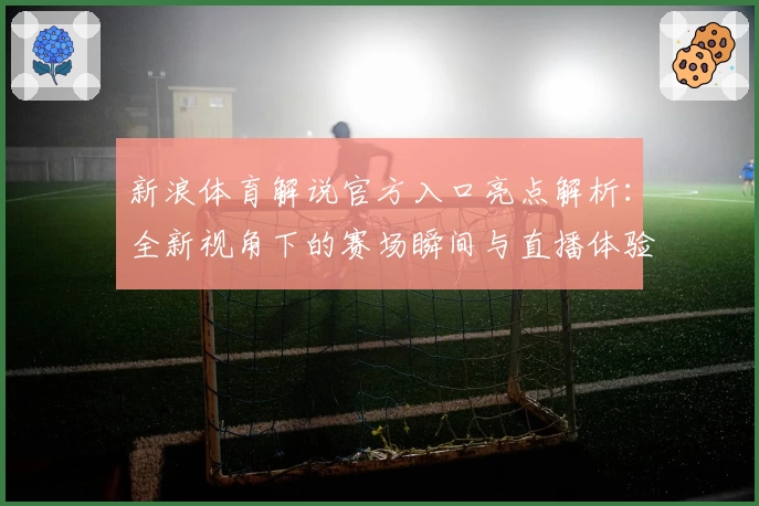新浪体育解说官方入口亮点解析:全新视角下的赛场瞬间与直播体验升级