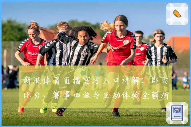 新浪体育直播官方入口详解：即时比分、赛事回放与互动体验全解析