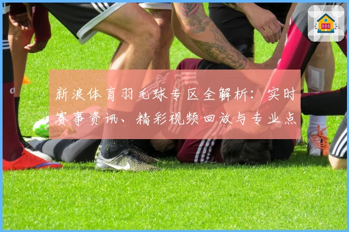 新浪体育羽毛球专区全解析：实时赛事资讯、精彩视频回放与专业点评一站式体验