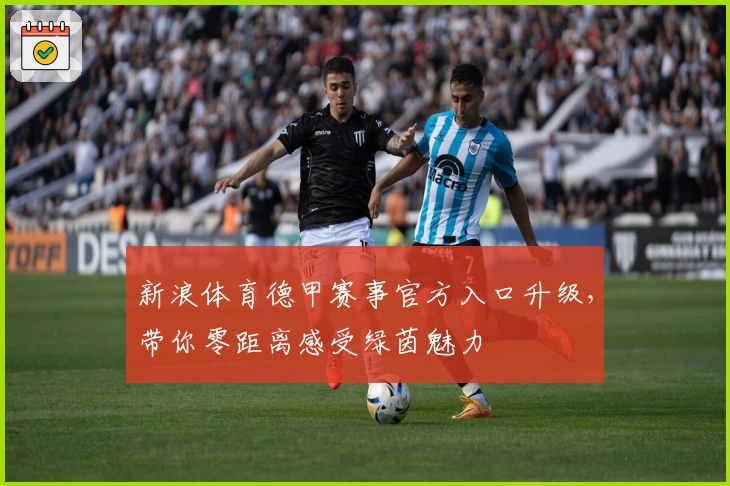 新浪体育德甲赛事官方入口升级，带你零距离感受绿茵魅力