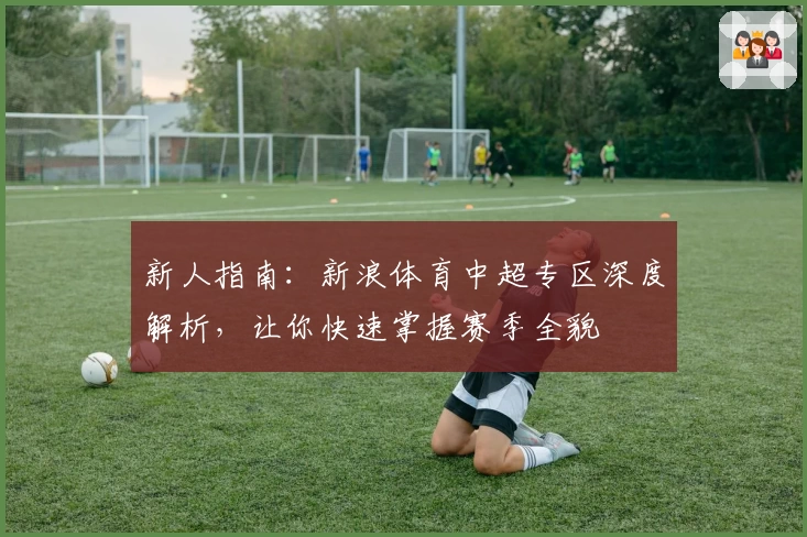 新人指南：新浪体育中超专区深度解析，让你快速掌握赛季全貌